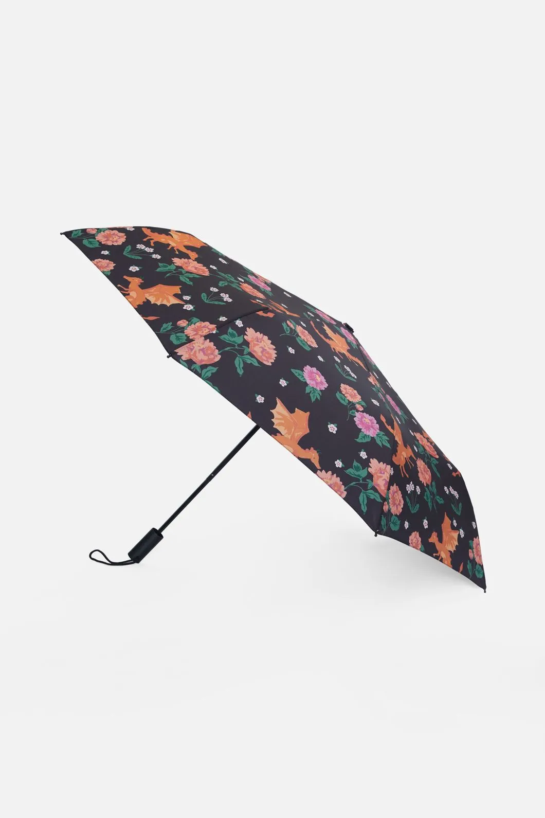 Dragon Umbrella