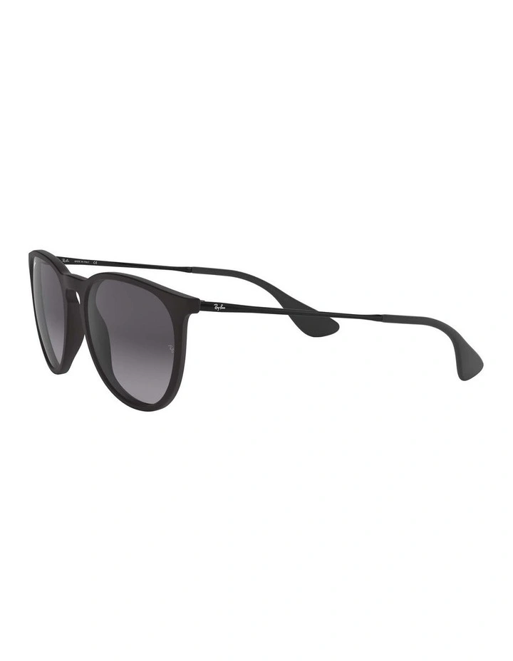 Erika Black RB4171 Sunglasses