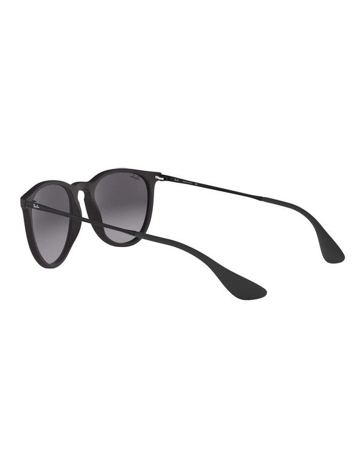 Erika Black RB4171 Sunglasses