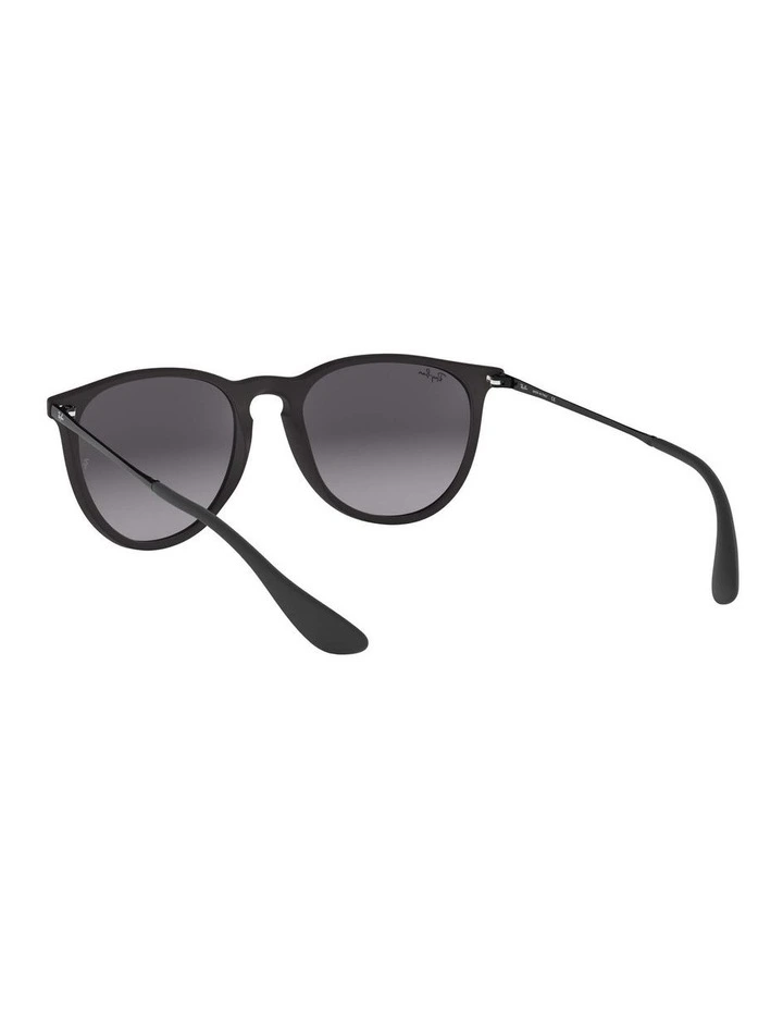 Erika Black RB4171 Sunglasses