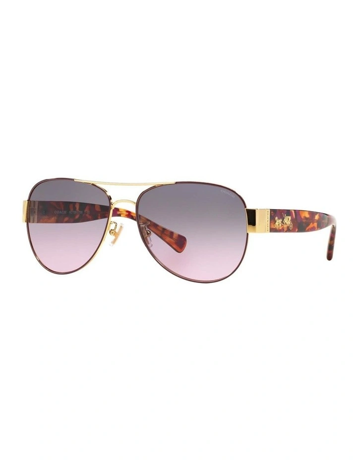 HC7059 L138 Violet Sunglasses