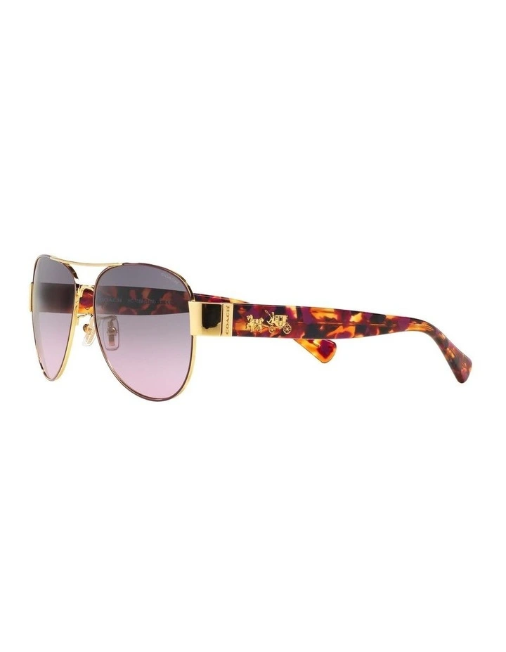 HC7059 L138 Violet Sunglasses