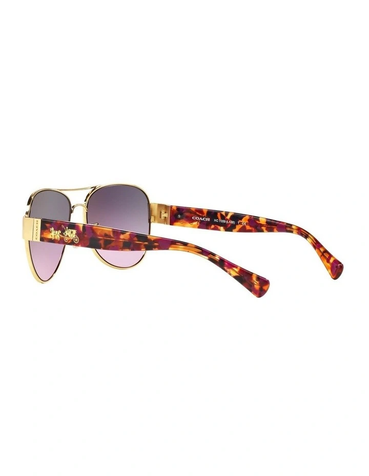 HC7059 L138 Violet Sunglasses