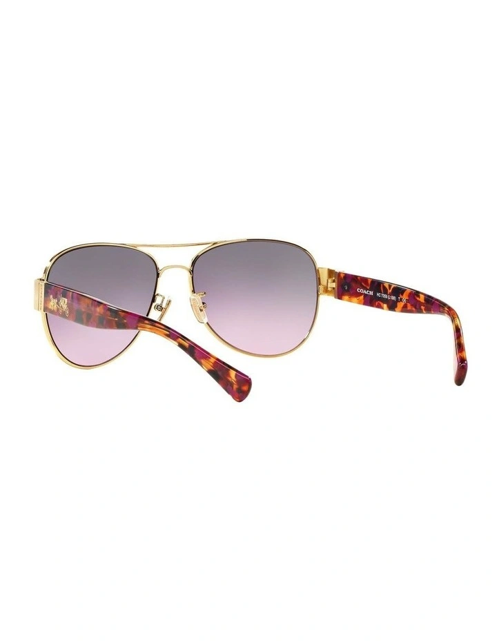 HC7059 L138 Violet Sunglasses