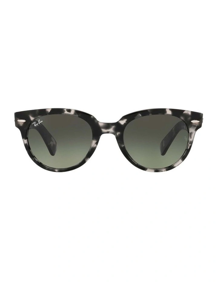 Orion Grey RB2199 Sunglasses