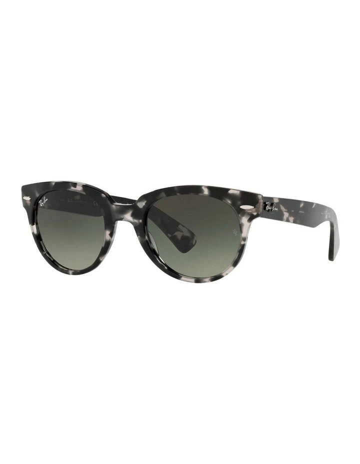 Orion Grey RB2199 Sunglasses