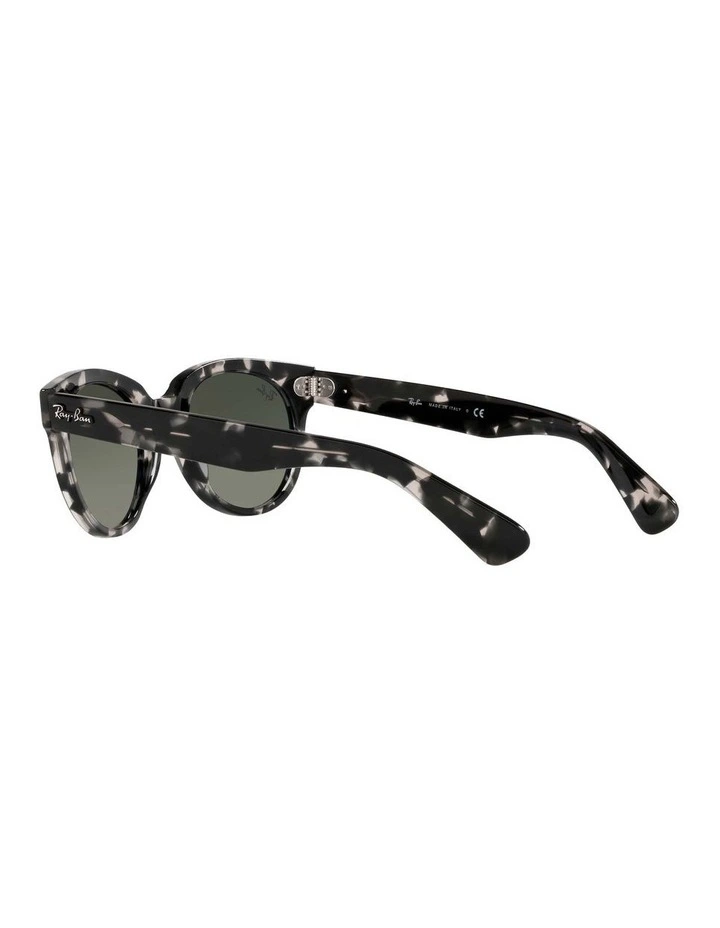 Orion Grey RB2199 Sunglasses