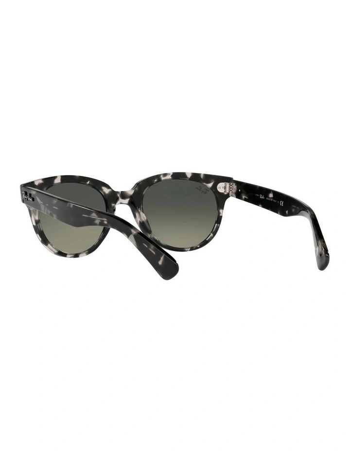 Orion Grey RB2199 Sunglasses