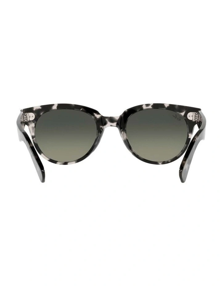 Orion Grey RB2199 Sunglasses