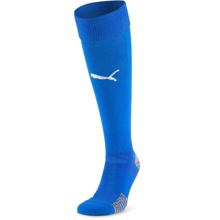 Puma TEAM FINAL 21 SOCKS TEAM