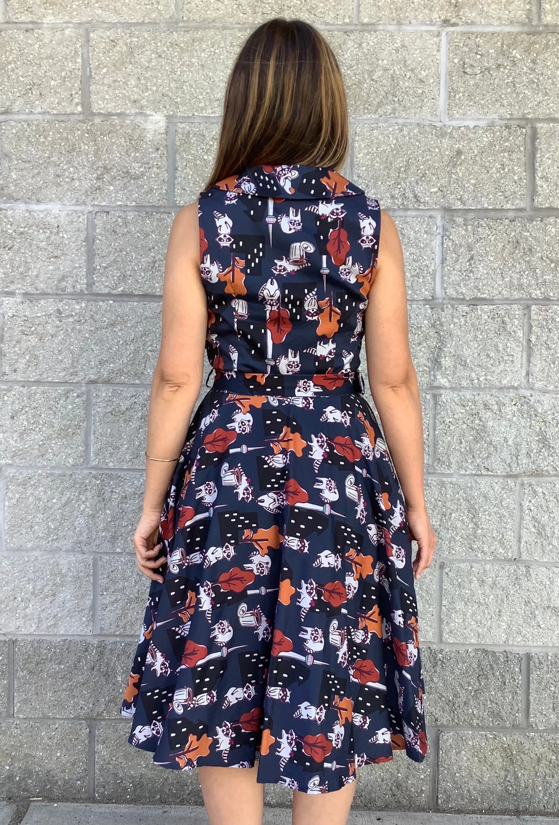 Raccoon Swing Dress